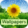 Wallpapers HD - free 100,000+ wallpapers