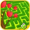 Fruit Maze