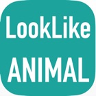 AnimalCam : Camera app that tell you what animal that look like you! icon