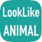 AnimalCam : Camera app that tell you what animal that look like you!