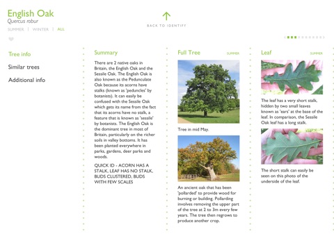 Tree Guide UK - Premium screenshot 4
