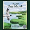 A Day in the Salt Marsh