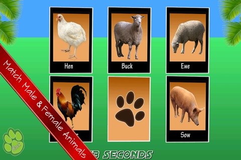 Animal Memory Game For Kids screenshot 4