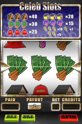 Celeb Slots - Spin The Wheel To Win The Prize screenshot 2