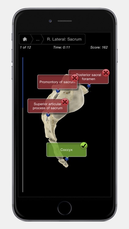 Skeleton System Pro III - iPhone Edition screenshot-4