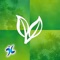********* A unique collection of Herbal, Homeopathic & Ayurvedic remedies of normal Diseases everyone facing in routine life *********