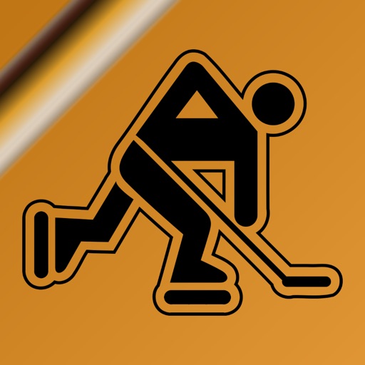 Name It! - Boston Hockey Edition iOS App