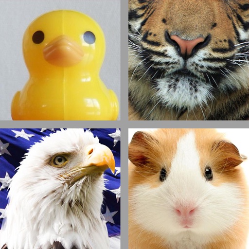 4 Pics 1 Animal Free - Guess the Animal from the Pictures icon