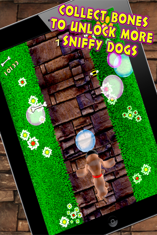 Sniffy Dog Run - Bubble Bee Adventure screenshot 4