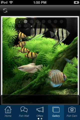 That Aquarium Shop Singapore screenshot 3