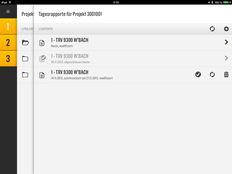 Daily Report