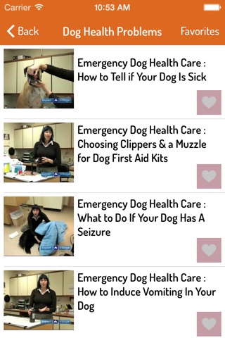 Dog Training Guide - Ultimate Video Guide screenshot 2