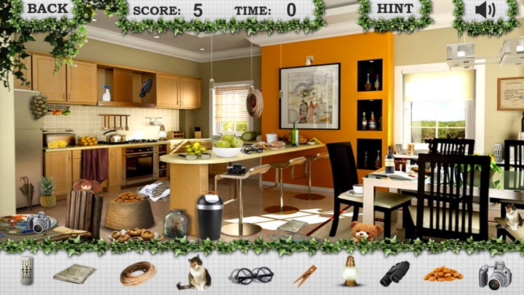 Hidden Objects Your House