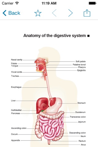 Miniatlas Gastroenterology screenshot 2