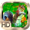 Squirrel Hunter: Varmint Hunting