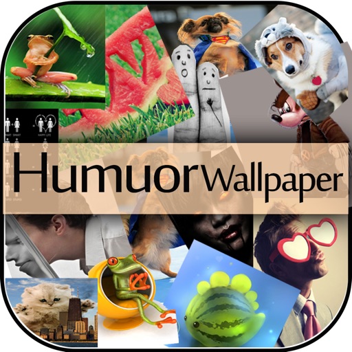 Humour And Funny Wallpapers