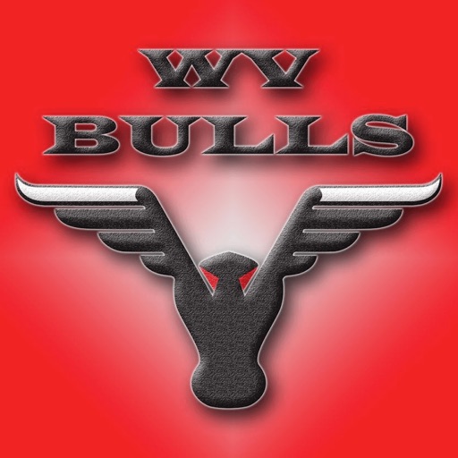 BULLS TEAM WORLDWIDE icon