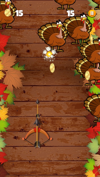 Angry Turkey Hunter: Thanksgiving Shooter Game screenshot-3