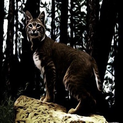 Bobcat 's - Sounds, Ringtones, Alerts from the Mountain Top icon