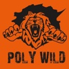 PolyWild - L'application Officielle de la liste Polytech Lille 2014