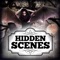 Hidden Scenes - The Graveyard