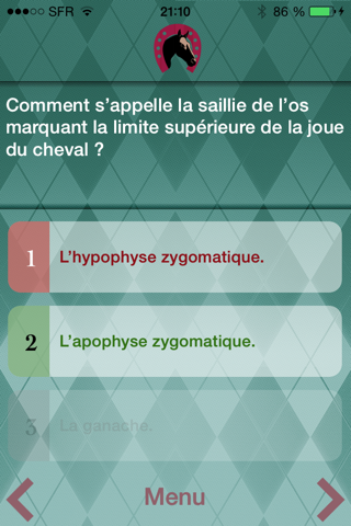 Équi'Quizz 3 : Au Galop ! screenshot 4