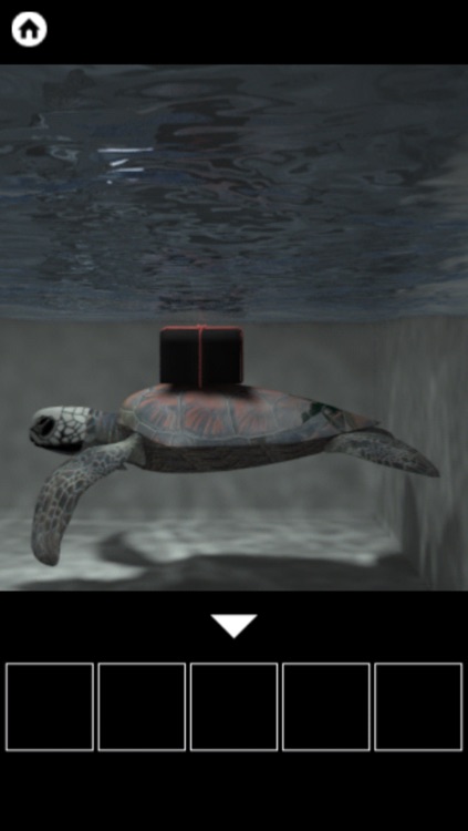 SUNKEN ROOM - room escape game -