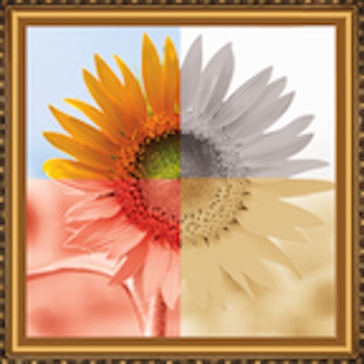 Pic-Frames Lite iOS App