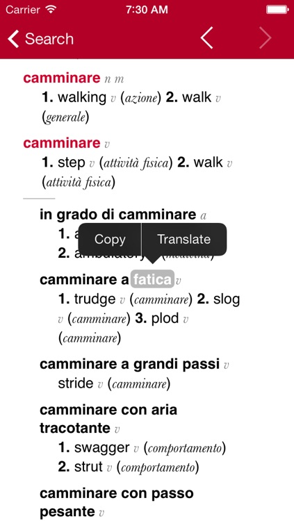 Italian-English Dictionary from Accio