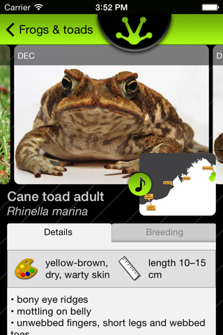 Cane Toad screenshot 2