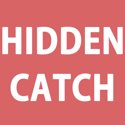 HIDDEN CATCH KOR iOS App