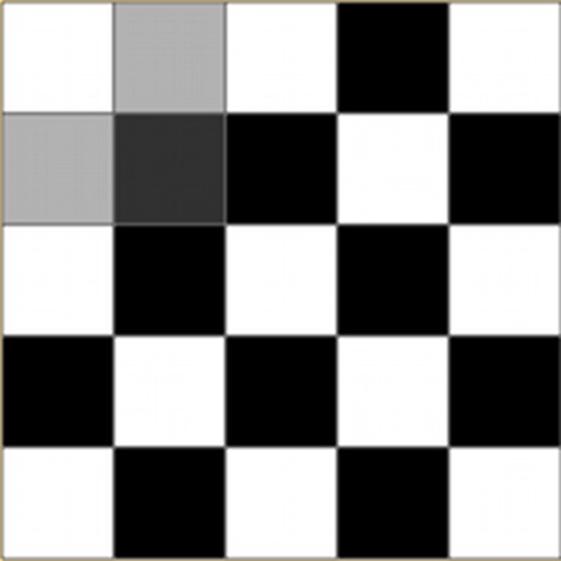 Day Day Chess Board Puzzle Icon