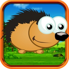 Activities of Hedgehog Dash Bounce