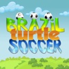 Brazil Turtle Soccer