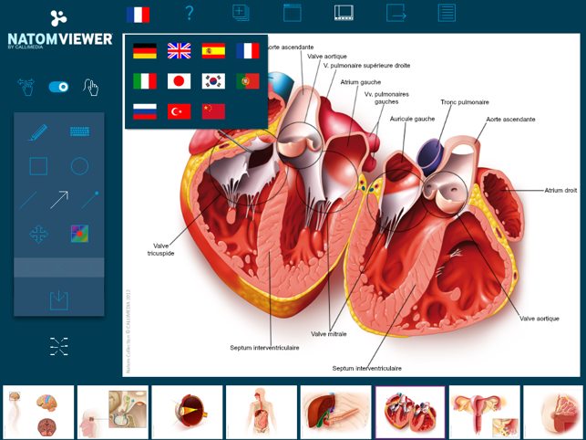 Natom Viewer