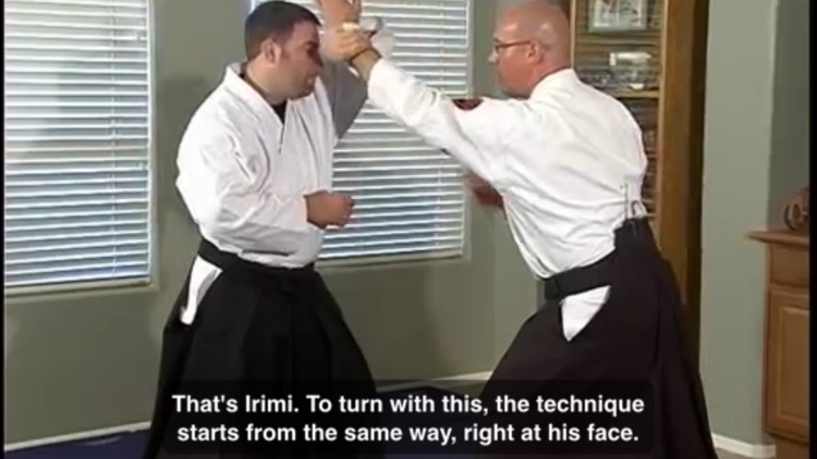 Aikido Master Class screenshot-4