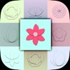 Flower Carpet - Harmonic Puzzle