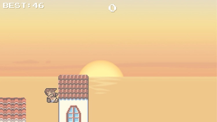 Flappy Santos - Bird on the Roof screenshot-3