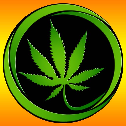 Pot Dots Pro Icon