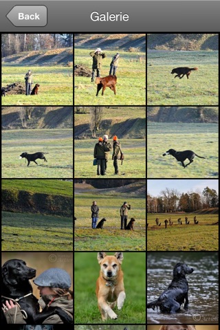 Gundog Challenge screenshot 4