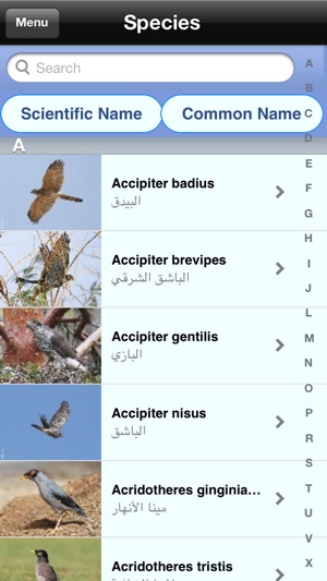 Birds Of Kuwait(圖2)-速報App