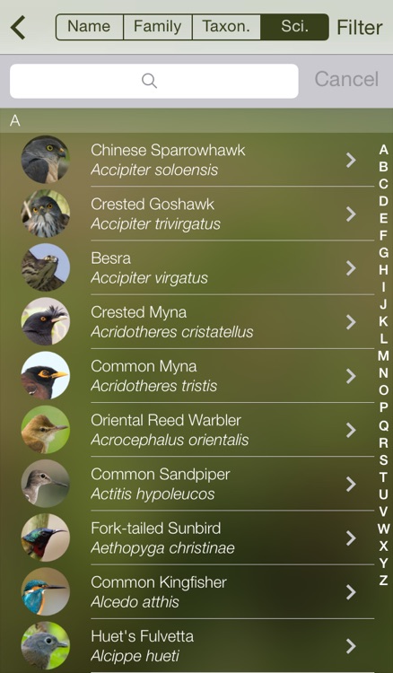 HKcBirds: Common Birds of Hong Kong