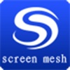 screen mesh