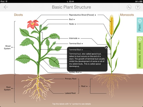 Focus on Plant screenshot 2