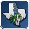 Blue Bonnet Palace Texas