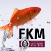 FKM-OVGU2013
