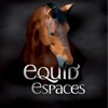 EQUIDESPACES2014