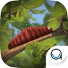 Caterpillar: TopIQ Story Book For Children in Preschool to Kindergarten HD