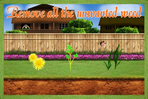 The neighbour cute girl : The sexy sunny summer lawn race - Free Edition screenshot 3
