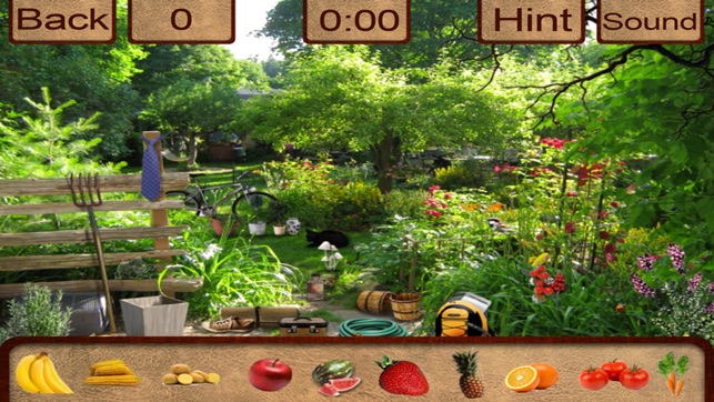 Hidden Objects Guest House(圖4)-速報App